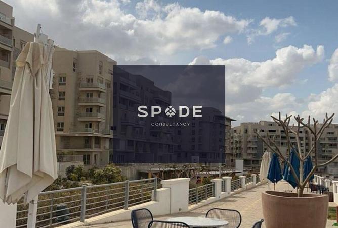 7924351 - صورة العقار 2