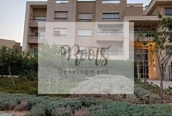 7906593 - Property Image 3