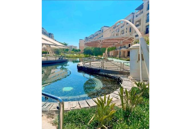 7988224 - Property Image 2