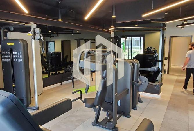 8511618 - Property Image 3