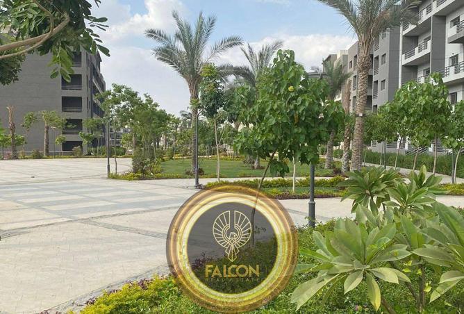 8221653 - صورة العقار 3