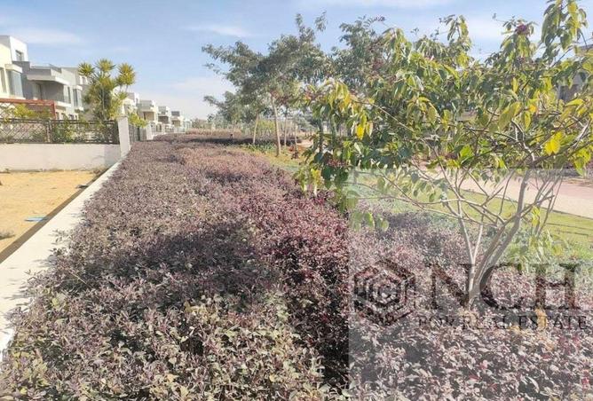 8339814 - صورة العقار 3