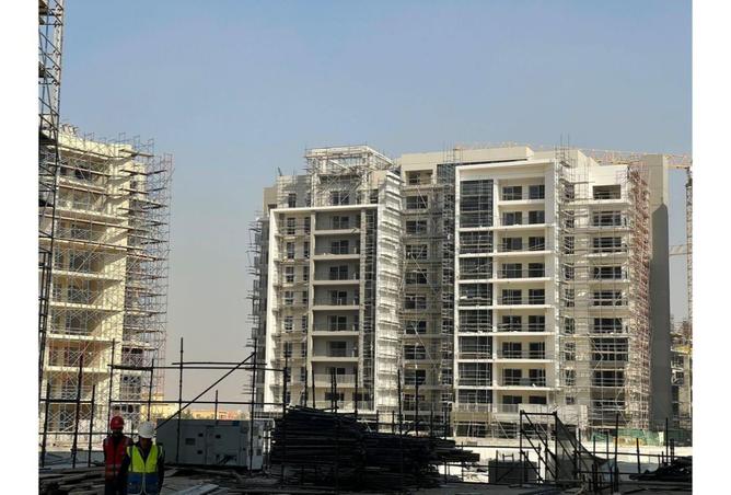8122183 - Property Image 3