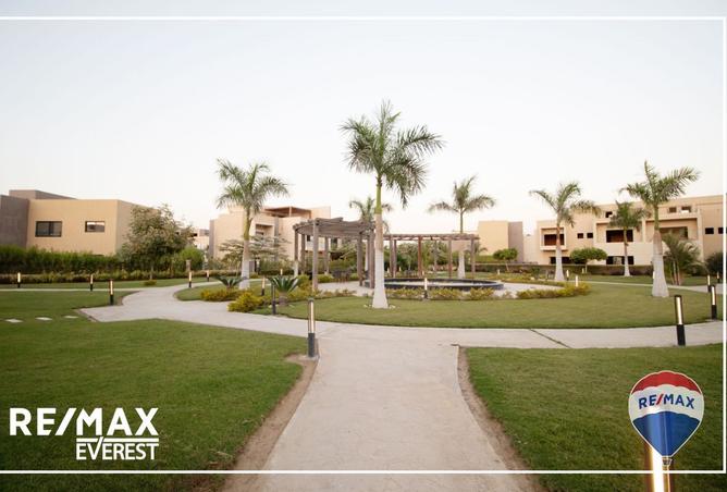 8315770 - Property Image 3