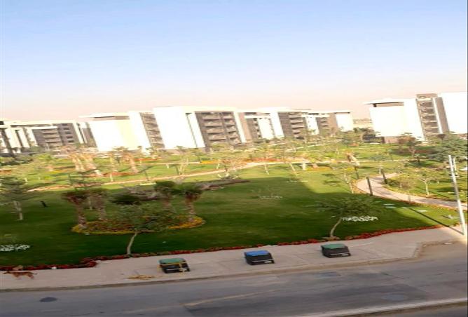 6729921 - Property Image 2