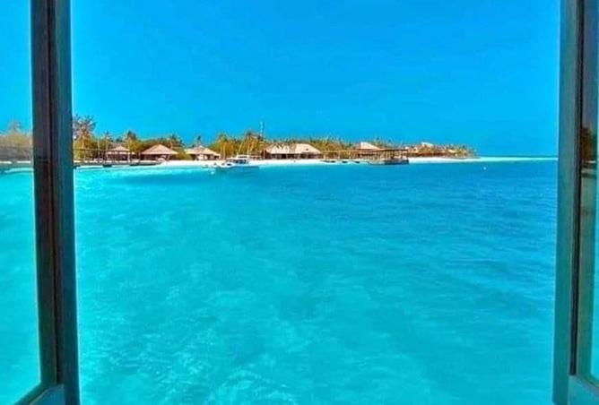 8466434 - Property Image 3