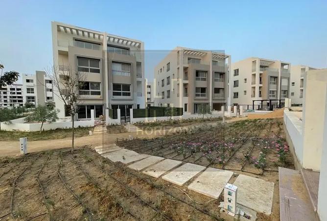 8162041 - Property Image 3