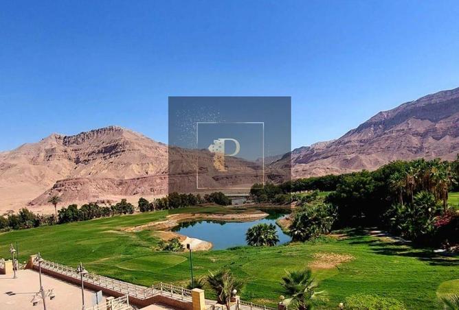 7949015 - صورة العقار 2