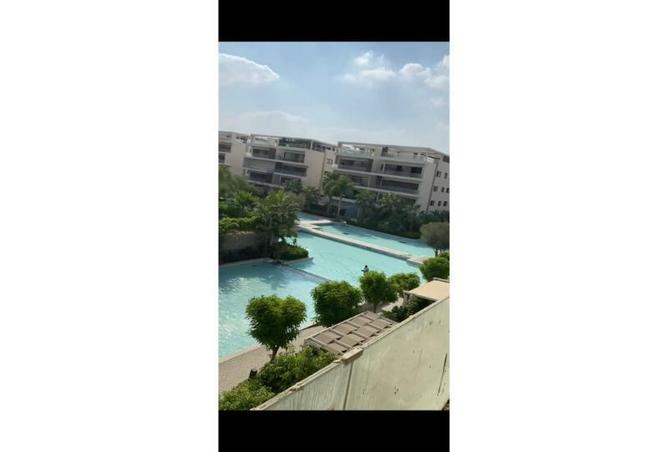 7999496 - Property Image 3