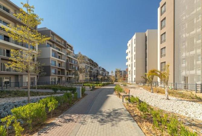 7996974 - Property Image 2