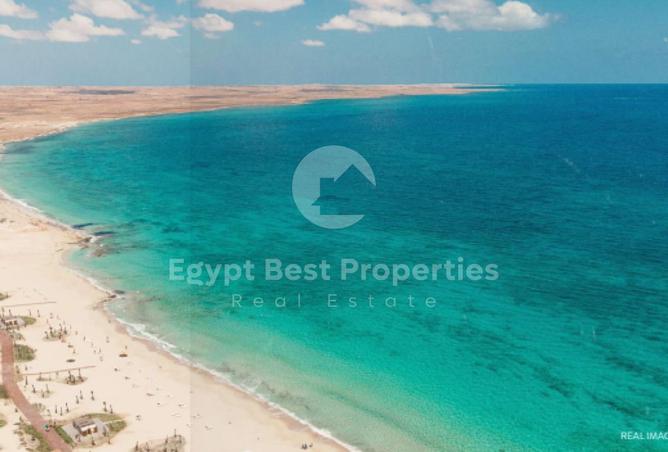 8045077 - صورة العقار 3
