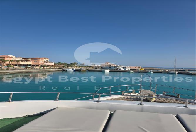 7971478 - صورة العقار 3