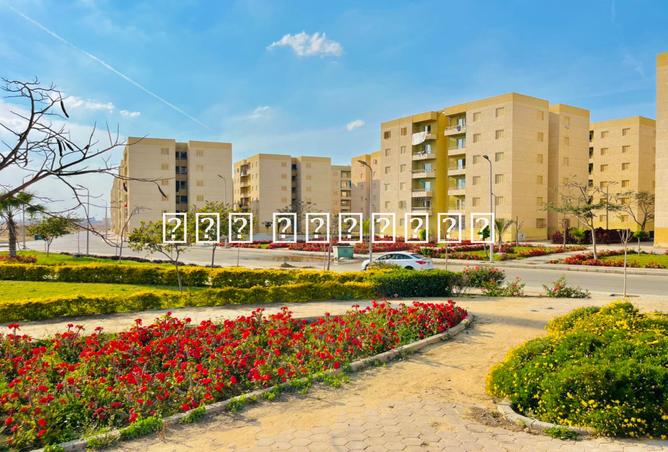 7978528 - الصورة الرئيسية للعقار