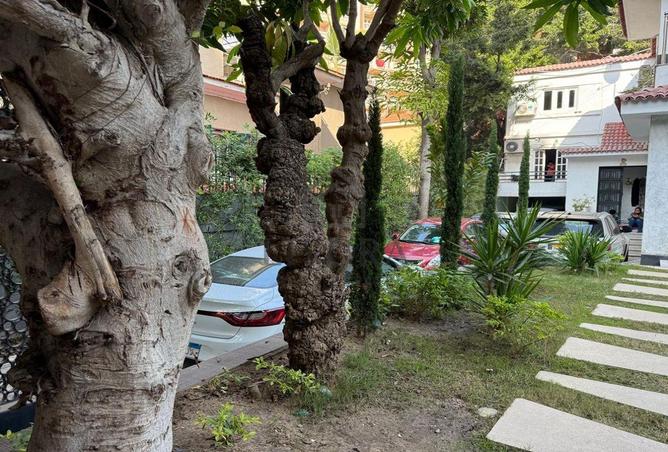 7674665 - Property Image 3