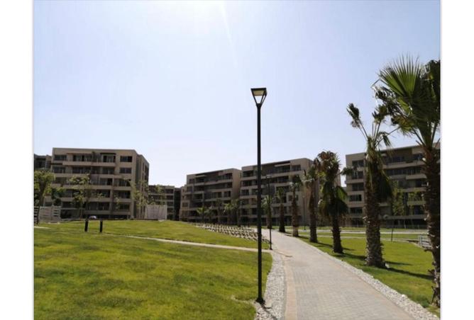 7968579 - صورة العقار 3