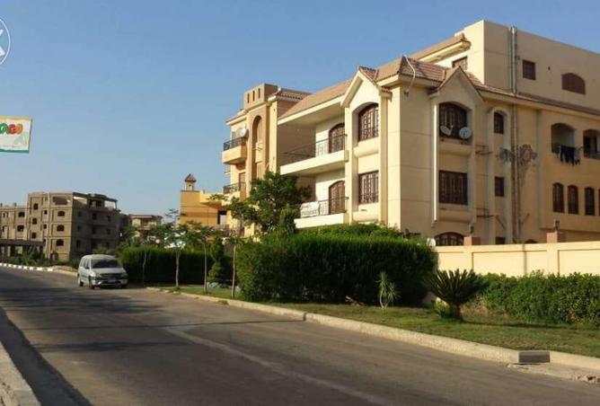 8206626 - صورة العقار 2