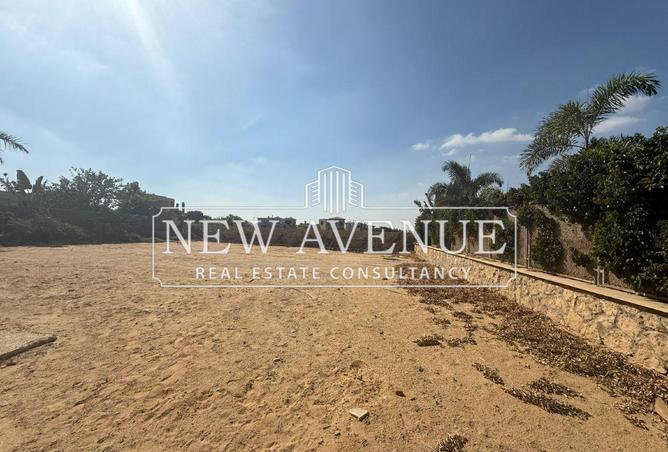 8256400 - Property Image 3