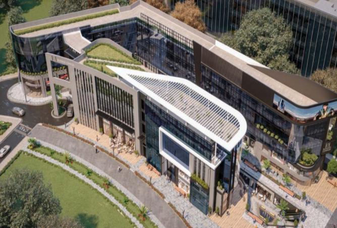 8194524 - Property Image 3