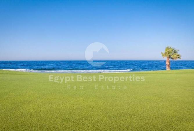 8368532 - Property Image 3