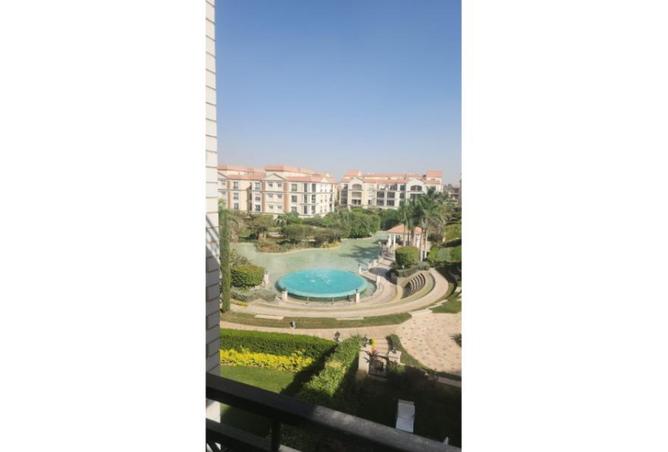 8393816 - Property Image 3