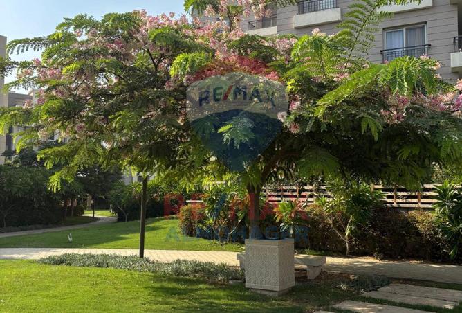 8210691 - صورة العقار 2