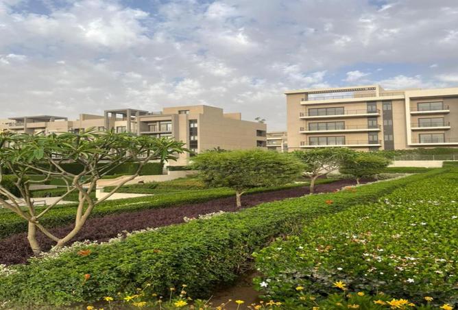 7998326 - صورة العقار 3