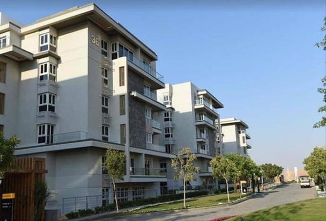 7973631 - Property Image 3