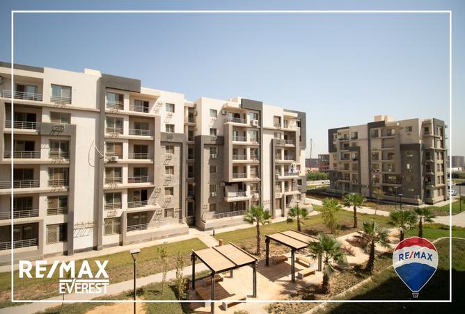 8021161 - صورة العقار 2