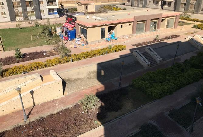 8467413 - Property Image 2