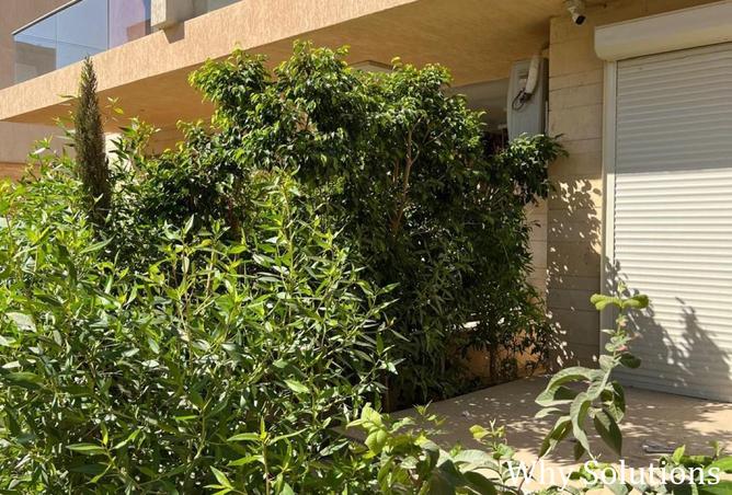 8169536 - صورة العقار 2