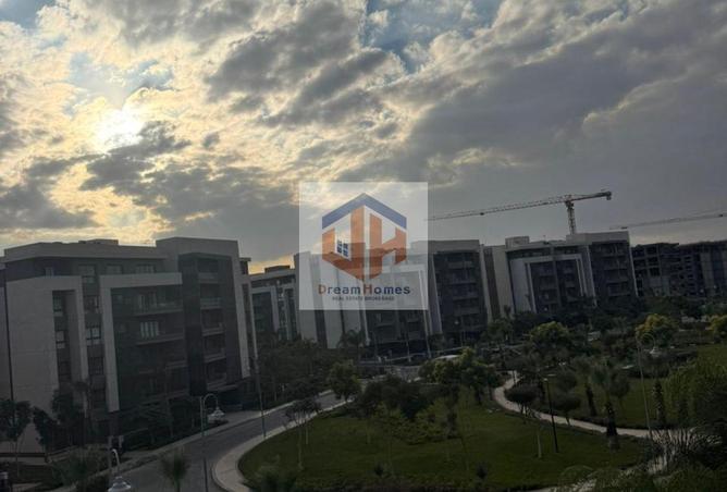 8462221 - Property Image 3