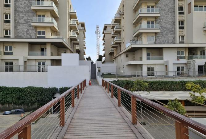 7971169 - Property Image 3