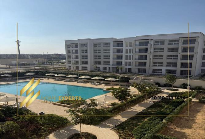 8304594 - Property Image 3