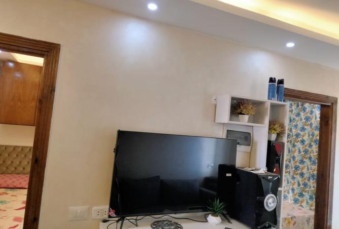 8261976 - Property Image 2