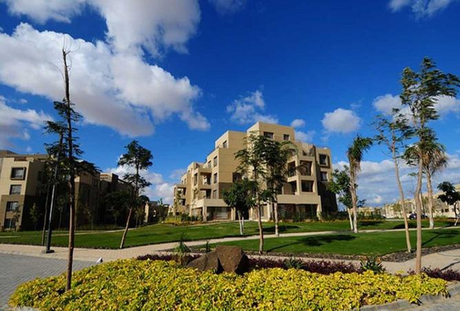 8164839 - الصورة الرئيسية للعقار