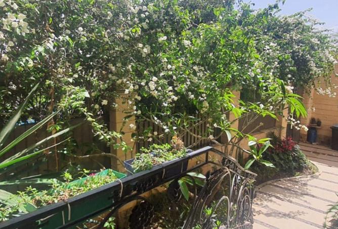 8281367 - الصورة الرئيسية للعقار