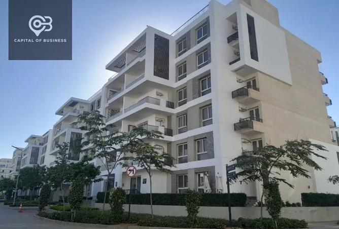 8184503 - Property Image 3