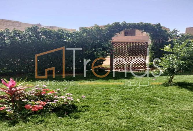 8004894 - صورة العقار 3