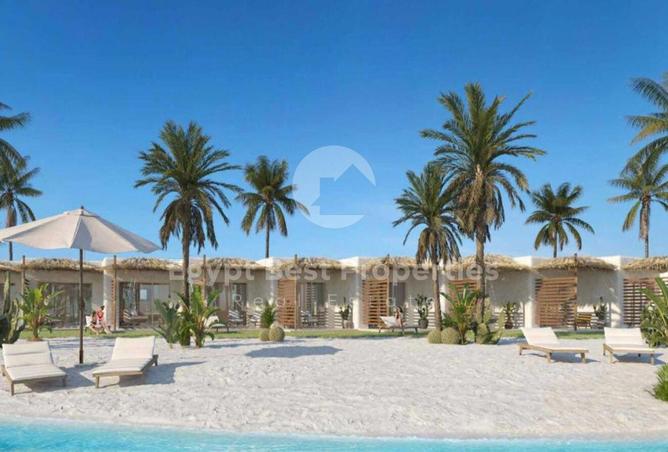 8056030 - Property Image 3