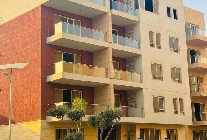 8395867 - Property Image 3