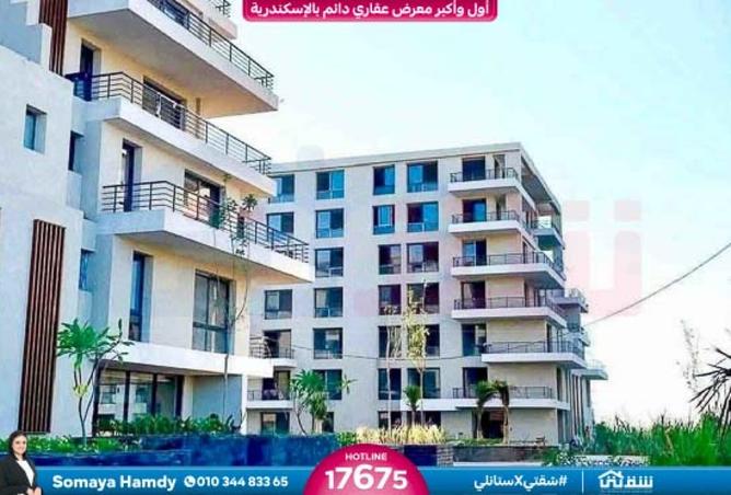 8430713 - صورة العقار 2