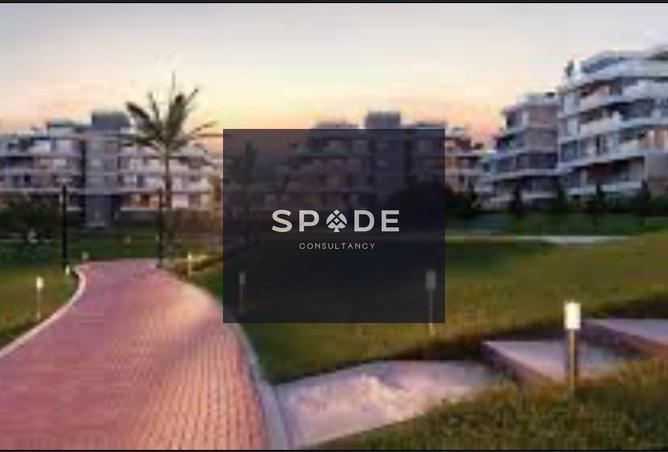 8394302 - Property Image 3