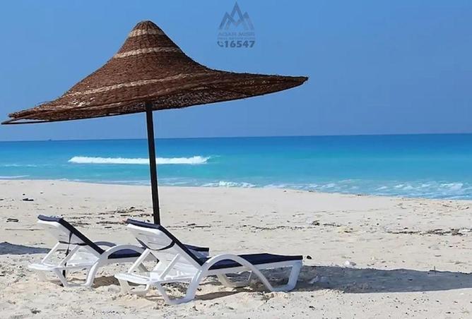 8288833 - Property Image 3