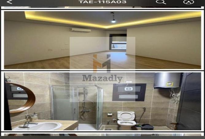 8181637 - Property Image 2