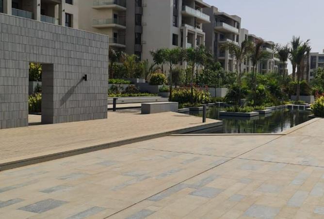 8493491 - Property Image 2