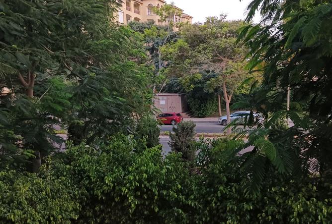 8023452 - صورة العقار 2