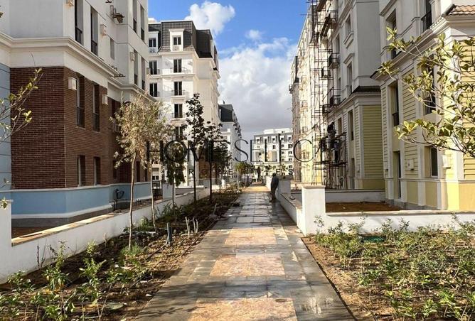 8384230 - Property Image 3