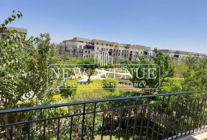 8096995 - Property Image 3