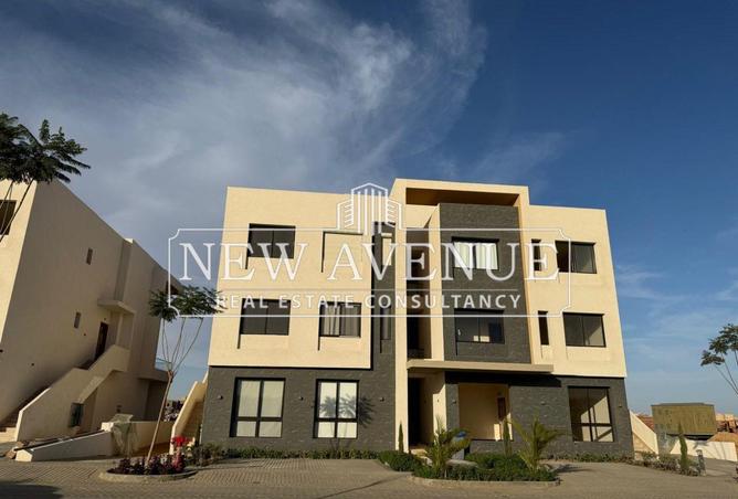 8107267 - صورة العقار 3