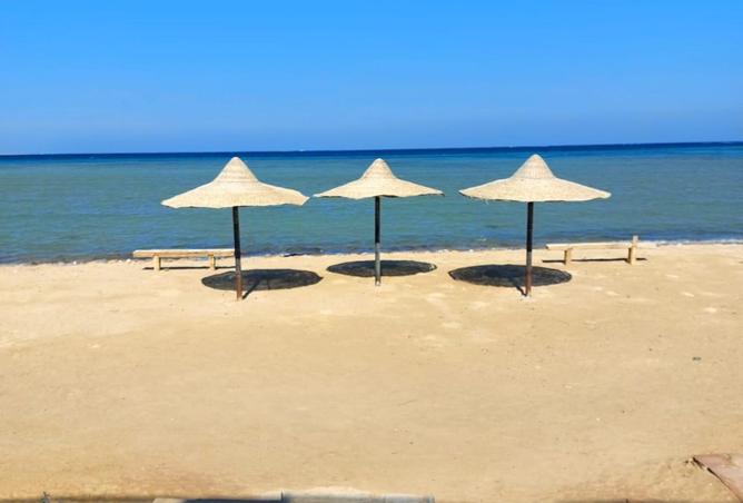 8061233 - صورة العقار 2